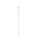Apple Lightning auf USB Kabel 2m (MD819ZM/A)