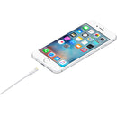 Apple Lightning auf USB Kabel 1m (MD818ZM/A)